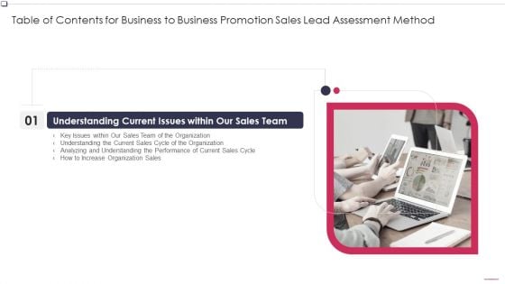 Table Of Contents Business To Business Promotion Sales Lead Assessment Brochure PDF