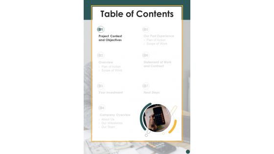 Table Of Contents Capital Tax Services Proposal One Pager Sample Example Document Table Of Contents Capital Tax Services Proposal One Pager Sample Example Document