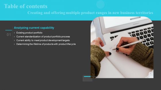 Table Of Contents Creating And Offering Multiple Product Ranges In New Business Territories Slide Designs PDF Table Of Contents Creating And Offering Multiple Product Ranges In New Business Territories Slide Designs PDF