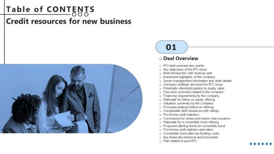 Table Of Contents Credit Resources For New Business Ppt Model Influencers PDF
