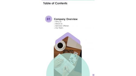 Table Of Contents Debt Management Process Proposal One Pager Sample Example Document