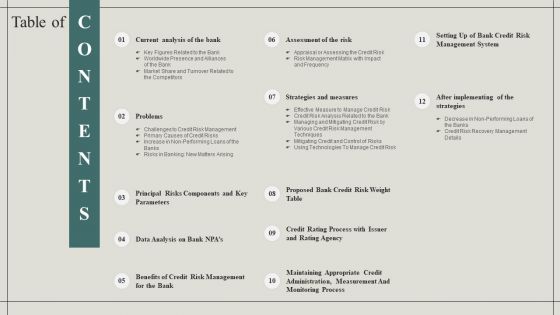 Table Of Contents Effective Financial Risk Management Strategies Download PDF