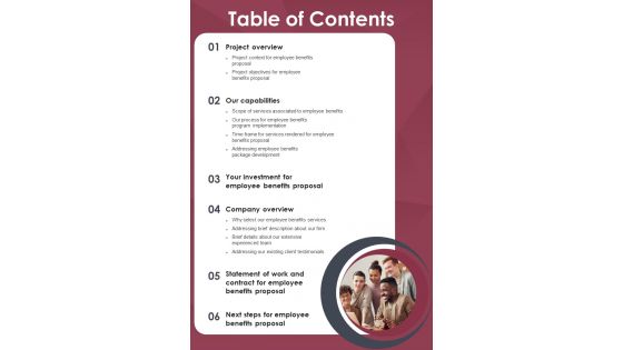 Table Of Contents Employee Perk Administration Proposal One Pager Sample Example Document Table Of Contents Employee Perk Administration Proposal One Pager Sample Example Document