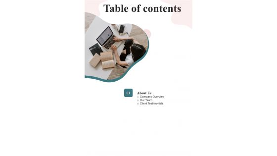 Table Of Contents Entrepreneurial Skill Advancement Proposal One Pager Sample Example Document Table Of Contents Entrepreneurial Skill Advancement Proposal One Pager Sample Example Document