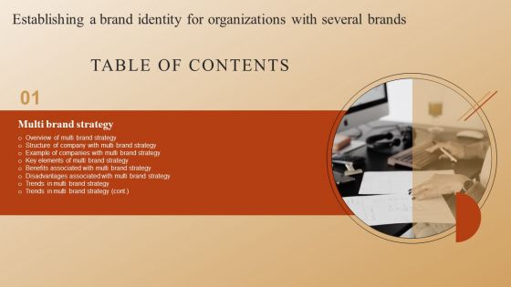 Table Of Contents Establishing A Brand Identity For Organizations With Several Brands Mockup PDF