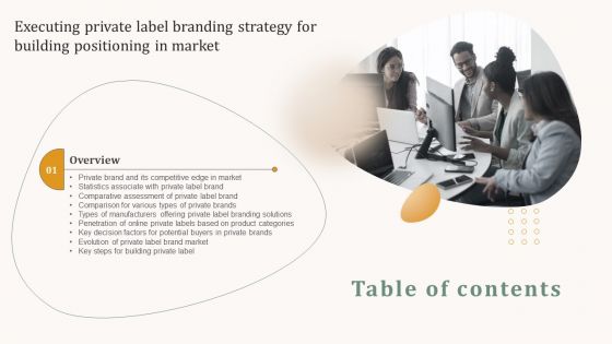 Table Of Contents Executing Private Label Branding Strategy For Building Positioning In Markets Ideas PDF