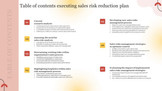 Table Of Contents Executing Sales Risk Reduction Plan Slides PDF