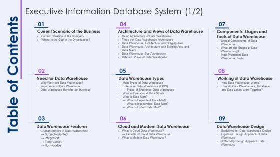 Table Of Contents Executive Information Database System Demonstration PDF