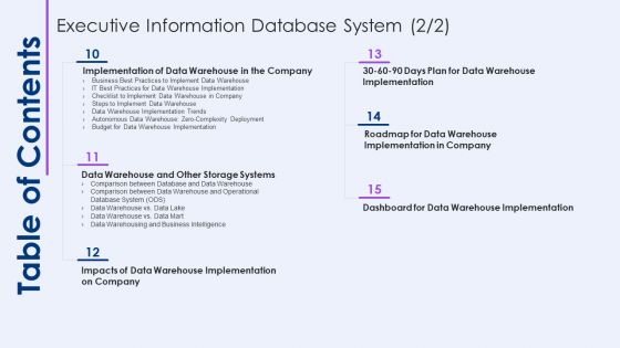 Table Of Contents Executive Information Database System Demonstration PDF