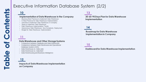 Table Of Contents Executive Information Database System Demonstration PDF Slide02