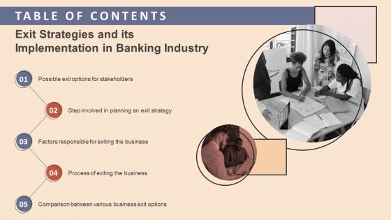 Table Of Contents Exit Strategies And Its Implementation In Banking Industry Brochure PDF Table Of Contents Exit Strategies And Its Implementation In Banking Industry Brochure PDF