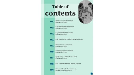 Table Of Contents Federal Contract Proposal One Pager Sample Example Document Table Of Contents Federal Contract Proposal One Pager Sample Example Document