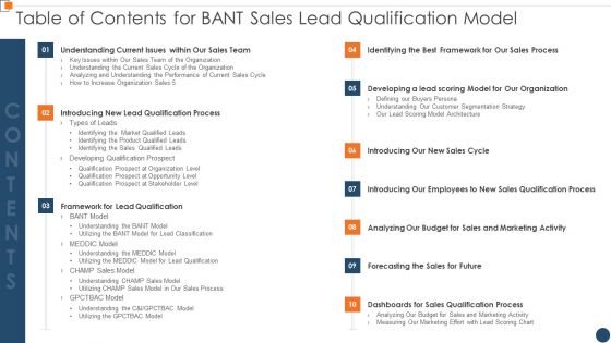 Table Of Contents For BANT Sales Lead Qualification Models Professional PDF