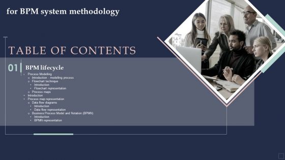 Table Of Contents For BPM System Methodology Ppt Show Microsoft PDF