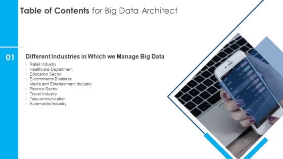 Table Of Contents For Big Data Architect Slide Information PDF