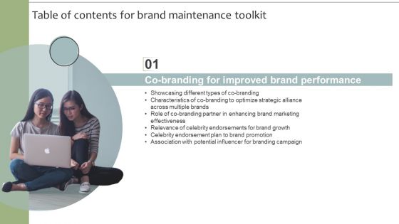 Table Of Contents For Brand Maintenance Toolkit Potential Infographics PDF