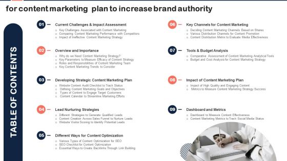 Table Of Contents For Content Marketing Plan To Increase Brand Authority Infographics PDF
