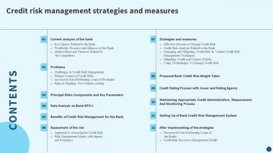 Table Of Contents For Credit Risk Management Strategies And Measures Demonstration PDF