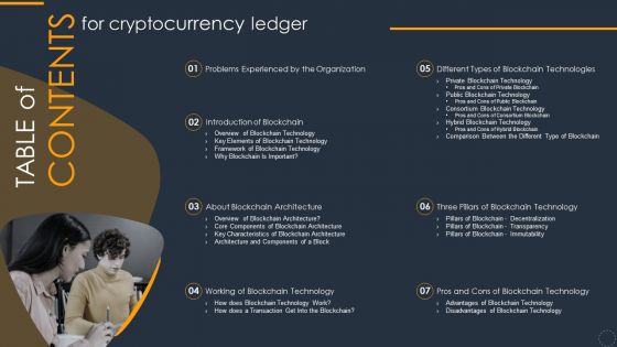 Table Of Contents For Cryptocurrency Ledger Introduction PDF