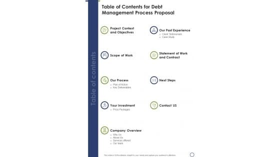 Table Of Contents For Debt Management Process Research Proposal One Pager Sample Example Document Table Of Contents For Debt Management Process Research Proposal One Pager Sample Example Document