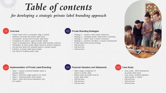 Table Of Contents For Developing A Strategic Private Label Branding Approach Introduction PDF Table Of Contents For Developing A Strategic Private Label Branding Approach Introduction PDF