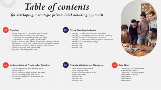 Table Of Contents For Developing A Strategic Private Label Branding Approach Introduction PDF