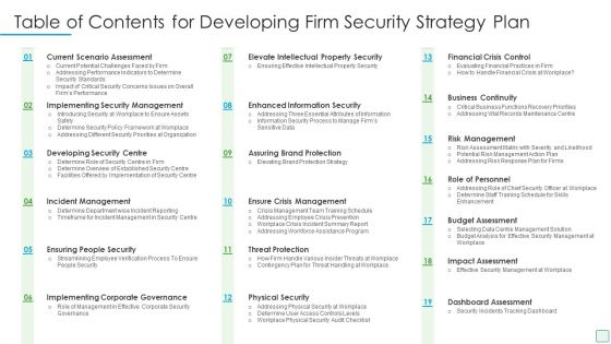 Table Of Contents For Developing Firm Security Strategy Plan Information PDF