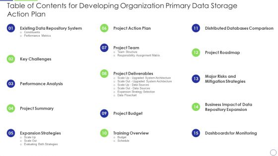 Table Of Contents For Developing Organization Primary Data Storage Action Plan Mockup PDF