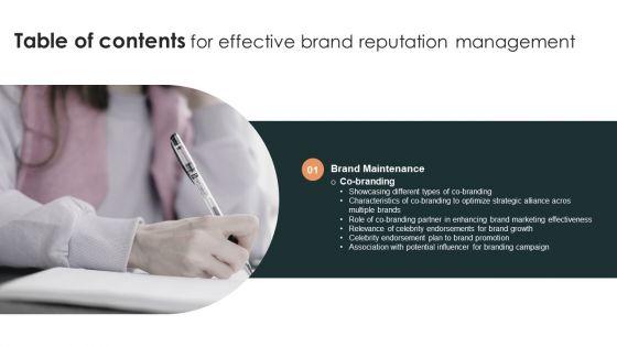 Table Of Contents For Effective Brand Reputation Management Rules Portrait PDF