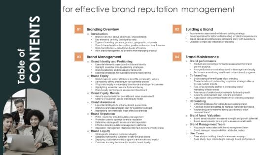 Table Of Contents For Effective Brand Reputation Management Topics PDF