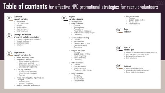 Table Of Contents For Effective NPO Promotional Strategies For Recruit Volunteers Rules PDF