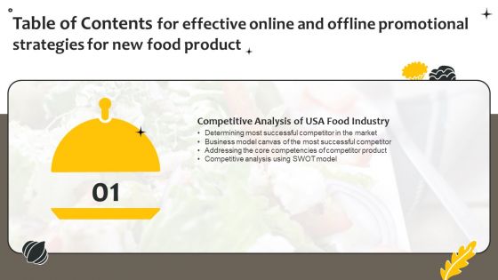 Table Of Contents For Effective Online And Offline Promotional Strategies For New Food Product Summary PDF