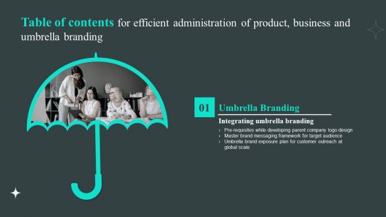 Table Of Contents For Efficient Administration Of Product Business And Umbrella Branding Design Designs PDF