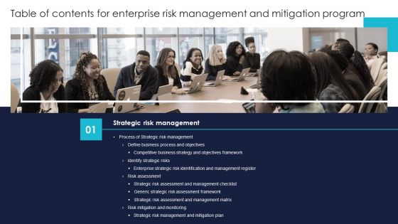 Table Of Contents For Enterprise Risk Management And Mitigation Program Process Information PDF