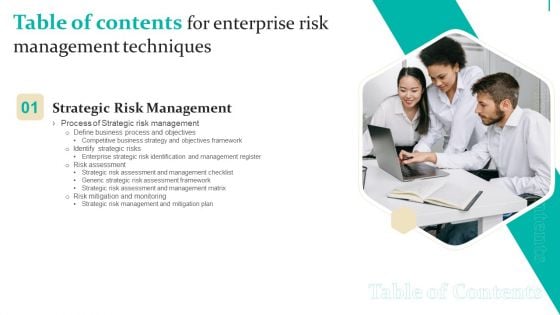 Table Of Contents For Enterprise Risk Management Techniques Sample PDF