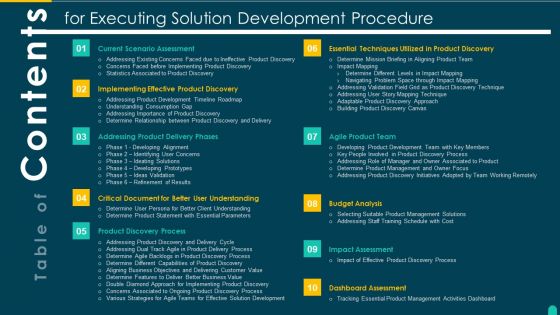 Table Of Contents For Executing Solution Development Procedure Portrait PDF