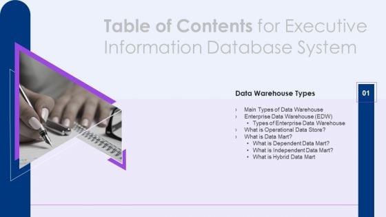 Table Of Contents For Executive Information Database System Slide Themes PDF Table Of Contents For Executive Information Database System Slide Themes PDF