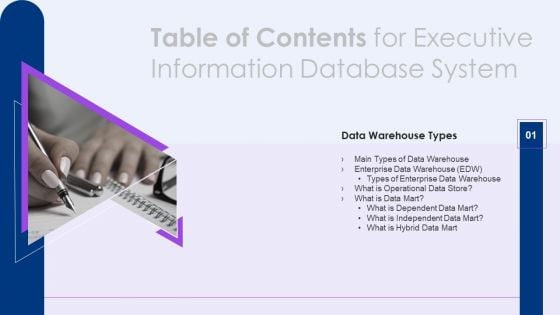 Table Of Contents For Executive Information Database System Slide Themes PDF