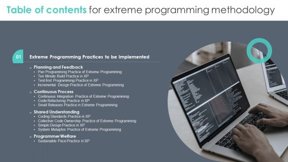 Table Of Contents For Extreme Programming Methodology Pair Graphics PDF