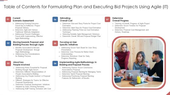 Table Of Contents For Formulating Plan And Executing Bid Projects Using Agile IT Rules PDF