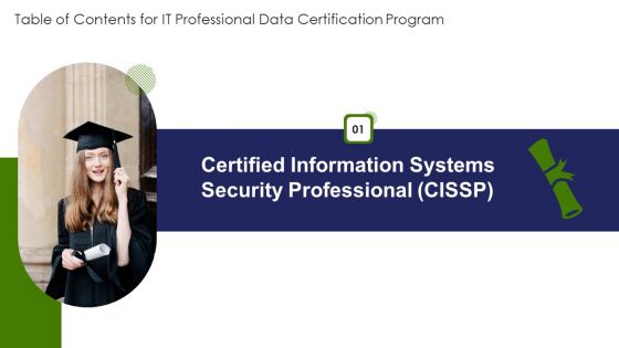 Table Of Contents For IT Professional Data Certification Program Security Icons PDF