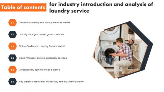 Table Of Contents For Industry Introduction And Analysis Of Laundry Service Sample PDF