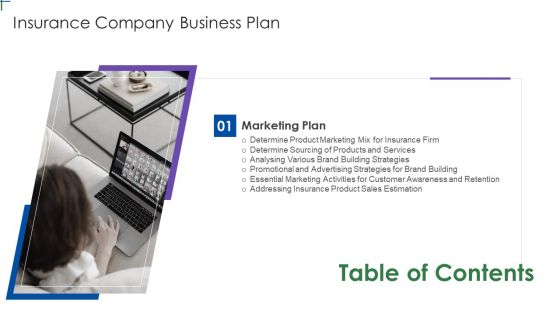 Table Of Contents For Insurance Company Business Plan Guidelines PDF