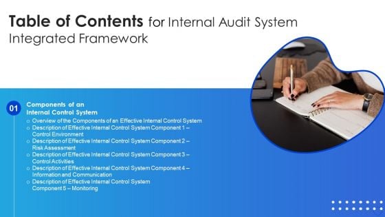 Table Of Contents For Internal Audit System Integrated Framework System Sample PDF