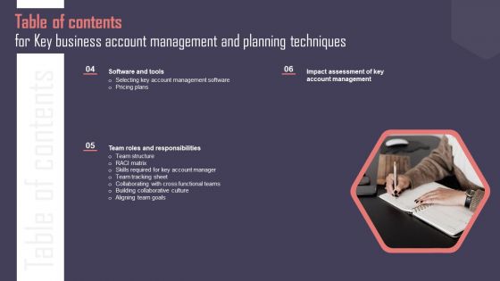 Table Of Contents For Key Business Account Management And Planning Techniques Information PDF