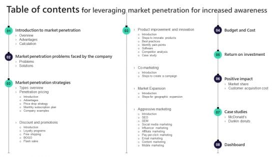 Table Of Contents For Leveraging Market Penetration For Increased Awareness Guidelines PDF