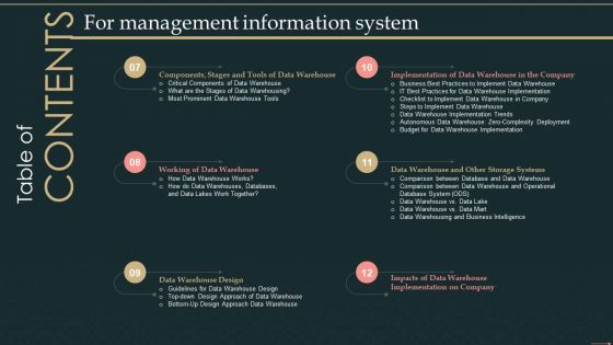 Table Of Contents For Management Information System Demonstration PDF