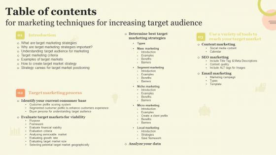 Table Of Contents For Marketing Techniques For Increasing Target Audience Portrait PDF