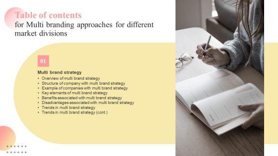 Table Of Contents For Multi Branding Approaches For Different Brochure PDF