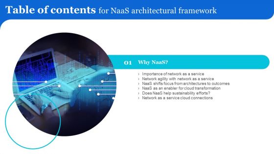 Table Of Contents For Naas Architectural Framework Background PDF